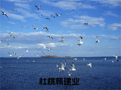 杜桃林建业(杜桃林建业小说)最新在线阅读_杜桃林建业小说免费阅读