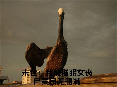 末世：我能催眠女丧尸吴良全文（末世：我能催眠女丧尸吴良）完整版小说阅读_末世：我能催眠女丧尸吴良全本列表免费笔趣阁（末世：我能催眠女丧尸吴良）