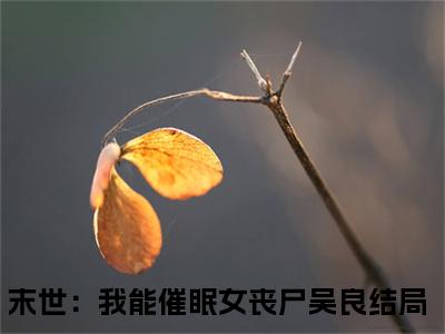 末世：我能催眠女丧尸吴良小说（末世：我能催眠女丧尸吴良）全文免费阅读无弹窗大结局_末世：我能催眠女丧尸吴良最新章节列表_笔趣阁