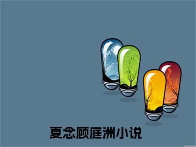 完结版夏念顾庭洲小说在线阅读大结局-夏念顾庭洲全文阅读已更新夏念顾庭洲