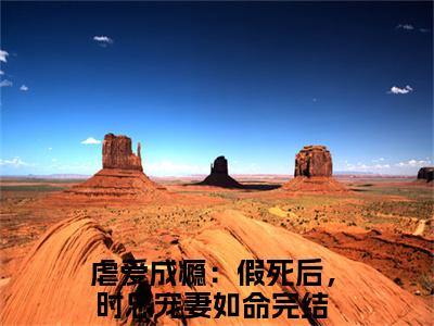 时谨意桑蜜小说免费下载（时谨意桑蜜完整全集已完结大结局小说）_虐爱成瘾：假死后，时总宠妻如命免费阅读笔趣阁