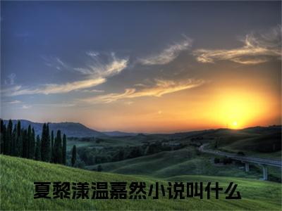 夏黎漾温嘉然（夏黎漾温嘉然）全文免费阅读无弹窗大结局-（夏黎漾温嘉然免费阅读全文大结局）最新章节