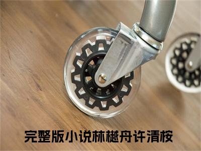 林樾舟许清桉独家小说（林樾舟许清桉）-（林樾舟许清桉）无删版小说推荐