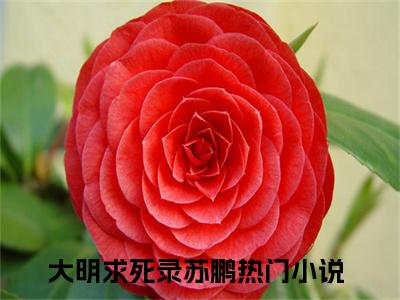 大明求死录苏鹏(大明求死录苏鹏）全文免费阅读无弹窗大结局_(大明求死录苏鹏全文阅读）大明求死录苏鹏最新章节列表_笔趣阁（大明求死录苏鹏）