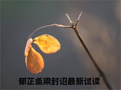 （郁芷鸢梁封诏）抖音郁芷鸢梁封诏小说阅读完结版-小说郁芷鸢梁封诏全文免费阅读