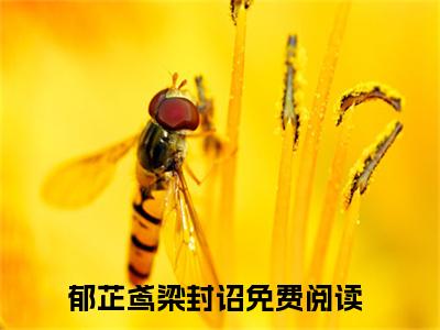 郁芷鸢梁封诏(郁芷鸢梁封诏)全文免费阅读无弹窗大结局_郁芷鸢梁封诏最新章节列表_笔趣阁