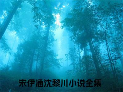宋伊涵沈黎川(宋伊涵沈黎川)全文免费阅读无弹窗大结局_(宋伊涵沈黎川)小说免费阅读无弹窗最新章节列表_笔趣阁