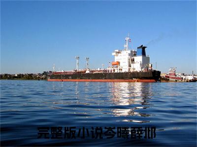 七零知青野翻了糙汉夫君秒认怂全文免费阅读无弹窗大结局_（岑曦薛邶无弹窗）七零知青野翻了糙汉夫君秒认怂全文阅读最新章节列表笔趣阁
