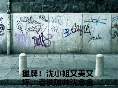 摊牌！沈小姐又美又坏，老铁贼帅沈念（摊牌！沈小姐又美又坏，老铁贼帅沈念）小说第20章第3节讲述的是什么？摊牌！沈小姐又美又坏，老铁贼帅沈念小说在线阅读