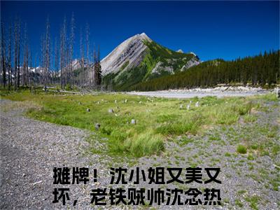 摊牌！沈小姐又美又坏，老铁贼帅沈念大结局免费阅读 摊牌！沈小姐又美又坏，老铁贼帅沈念全文小说