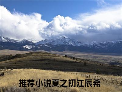 夏之初江辰希全文（夏之初江辰希免费阅读）全文免费阅读无弹窗大结局_夏之初江辰希最新章节列表_笔趣阁（夏之初江辰希免费阅读）
