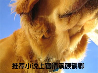 《上官清溪颜鹤卿》全文免费阅读最新章节大结局-上官清溪颜鹤卿 全文全章节免费阅读