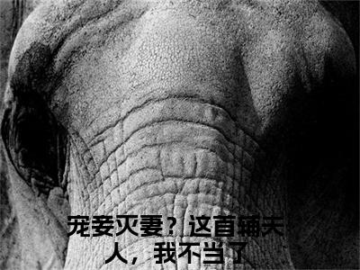 小说（云奕霄苏青玉）宠妾灭妻？这首辅夫人，我不当了全文阅读-云奕霄苏青玉（宠妾灭妻？这首辅夫人，我不当了）老书虫书荒推荐热点小说
