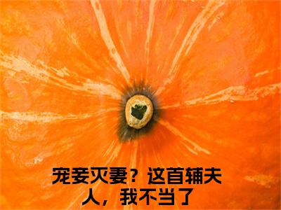 云奕霄苏青玉小说免费阅读宠妾灭妻？这首辅夫人，我不当了小说全文免费阅读_（云奕霄苏青玉）宠妾灭妻？这首辅夫人，我不当了最新章节列表笔趣阁