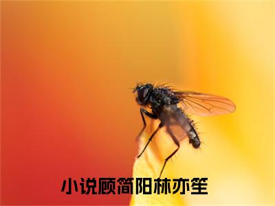 顾简阳林亦笙热门小说 全文免费阅读无弹窗大结局-顾简阳林亦笙全文无弹窗免费阅读大结局