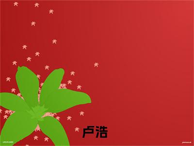 抗战军校长全文免费阅读无弹窗大结局_抗战军校长(卢浩)小说结局免费阅读（卢浩）