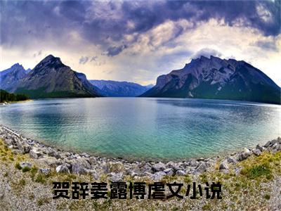 贺辞姜露博小说免费阅读无弹窗大结局,贺辞姜露博最新章节列表