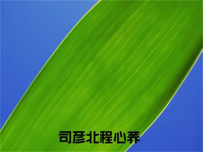 司彦北程心荞（司太太失忆后，高冷老公他不装了）全文免费阅读无弹窗大结局_司彦北程心荞最新章节列表_笔趣阁（司太太失忆后，高冷老公他不装了）