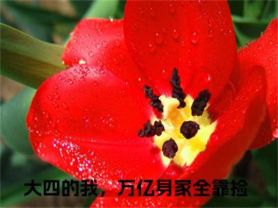 大四的我，万亿身家全靠捡全文（张通）全文免费阅读无弹窗大结局_张通全文最新章节列表_笔趣阁（大四的我，万亿身家全靠捡）