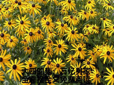 张通小说（大四的我，万亿身家全靠捡)全文免费阅读无弹窗大结局_张通完整版最新阅读_笔趣阁（大四的我，万亿身家全靠捡）