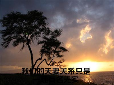 我们的夫妻关系只是一场有名无实（季明殊周崇言小说）全文免费阅读无弹窗大结局_季明殊周崇言小说最新章节列表_笔趣阁（我们的夫妻关系只是一场有名无实）