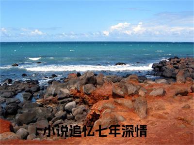 章湛庭姜思雪热门小说追忆七年深情最新章节免费阅读-完结版全文追忆七年深情小说在线阅读