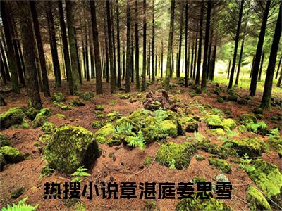 追忆七年深情全文免费阅读无弹窗大结局，章湛庭姜思雪小说最新章节