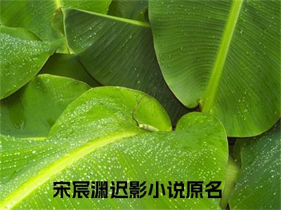 （宋宸渊迟影小说免费阅读）全文免费阅读无弹窗大结局_宋宸渊迟影小说免费阅读最新章节列表_笔趣阁（宋宸渊迟影阅读无弹窗）