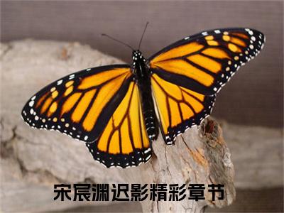 宋宸渊迟影（宋宸渊迟影）全文免费阅读无弹窗大结局_（宋宸渊迟影全文免费阅读无弹窗）宋宸渊迟影最新章节列表_笔趣阁（宋宸渊迟影）