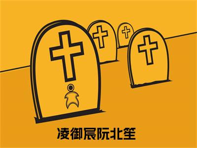 凌御宸阮北笙小说（凌御宸阮北笙）全文免费阅读-凌御宸阮北笙全文阅读无弹窗