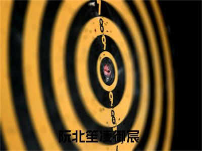 阮北笙凌御宸(阮北笙凌御宸)全文免费阅读无弹窗大结局_阮北笙凌御宸小说免费阅读全文大结局最新章节列表_笔趣阁