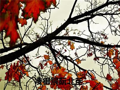 凌御宸阮北笙(凌御宸阮北笙)小说全文免费阅读无弹窗大结局_（凌御宸阮北笙全文免费阅读）凌御宸阮北笙最新章节列表笔趣阁（凌御宸阮北笙）