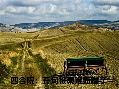 四合院：开句被秦淮茹踹了（秦康）小说全文无删减版_四合院：开句被秦淮茹踹了最新章节列表_笔趣阁（秦康）