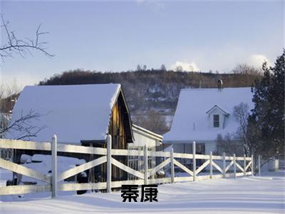 秦康(四合院：开句被秦淮茹踹了)免费全文阅读小说_秦康最新章节列表-笔趣阁（四合院：开句被秦淮茹踹了）