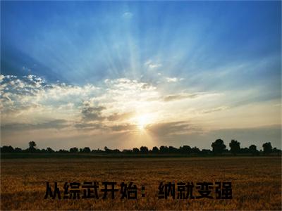 王宇全文免费阅读大结局_王宇（从综武开始：纳就变强）完整版在线赏析