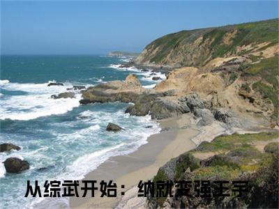 王宇（从综武开始：纳就变强）是哪部小说的主角-王宇（从综武开始：纳就变强）全文无弹窗完整版阅读