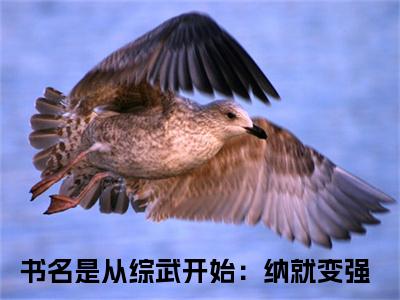 从综武开始：纳就变强（王宇）高质量小说王宇推荐阅读-从综武开始：纳就变强（王宇）小说最新章节