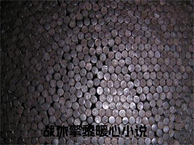 战沐擎黎暖心(战沐擎黎暖心)全文免费阅读无弹窗大结局_(战沐擎黎暖心免费阅读全文大结局)最新章节列表