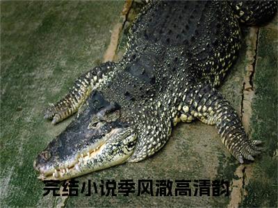 季风澈高清韵全文（季风澈高清韵小说）全文免费阅读无弹窗大结局_季风澈高清韵免费最新章节列表_笔趣阁（季风澈高清韵小说）