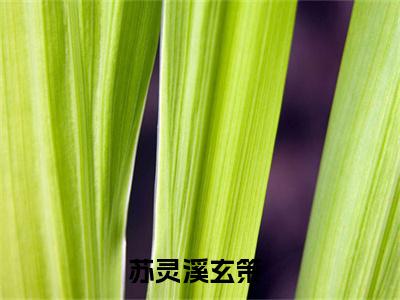 苏灵溪玄策小说（苏灵溪玄策）全文免费阅读_（苏灵溪玄策）苏灵溪玄策小说最新章节列表_笔趣阁（苏灵溪玄策）