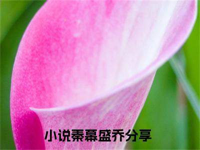 秦幕盛乔（秦幕盛乔）全文免费阅读无弹窗大结局_秦幕盛乔全文在线阅读无弹窗