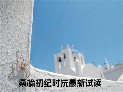 桑榆初纪时沅小说(桑榆初纪时沅)_全章节小说完整版阅读（桑榆初纪时沅）