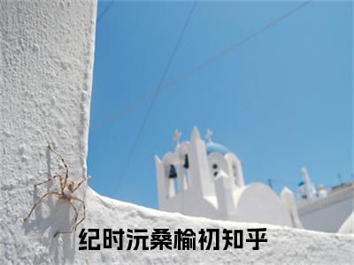 纪时沅桑榆初小说大结局免费阅读-完结版纪时沅桑榆初小说免费阅读