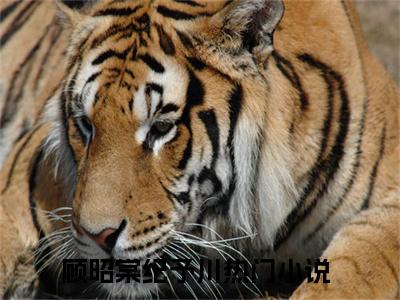 顾昭棠纪予川全文免费阅读无弹窗大结局_（顾昭棠纪予川无弹窗）顾昭棠纪予川全文阅读最新章节列表笔趣阁