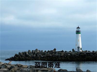 蓝愿秦淮小说（蓝愿秦淮）全文免费阅读无弹窗大结局_蓝愿秦淮小说无弹窗精彩阅读_笔趣阁