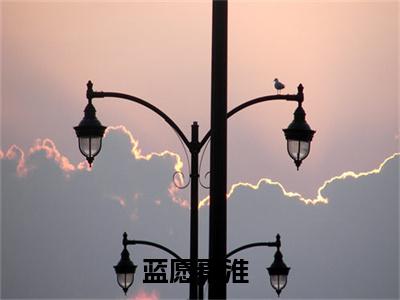 蓝愿秦淮(蓝愿秦淮)全文免费阅读无弹窗大结局_蓝愿秦淮章节列表