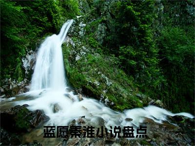 蓝愿秦淮（蓝愿秦淮）全文免费阅读无弹窗大结局_蓝愿秦淮在线阅读（蓝愿秦淮）