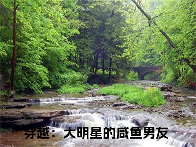 陈序姜云锦全集小说完整版大结局_穿越：大明星的咸鱼男友完结版在线阅读