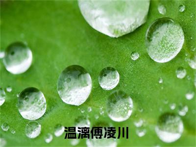 《热门小说温漓傅凌川》最新章节by温漓傅凌川完整版在线阅读
