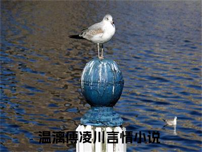 温漓傅凌川小说全文阅读-温漓傅凌川小说全文完整版免费阅读